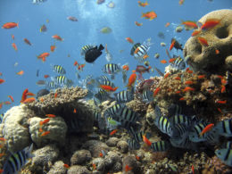 Hurghada